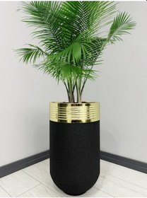 Resim Elegant Dekoratif Gold Darbuka Siyah Saksı 70cm 