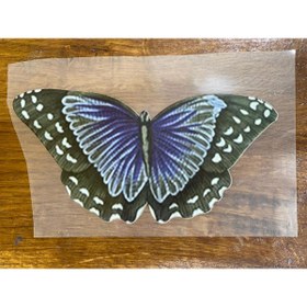 Resim Gönülden Tasarım 20x10 Cm Ütü Ile Yapışan Transfer Baskı Kelebek Aplike Arma Tişört Baskı Mavi 