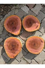 Resim Handmade Çınar ağacından Epoksi kesim kütük, Sehpalar için ağaç kütük 30-40 cm aralığında kütük 