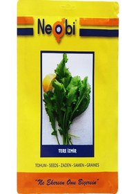 Resim Neobi Tere Tohumu İzmir 25 GR 
