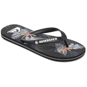 Resim Quiksilver Molokai Everyday Paradise Erkek Sandalet 