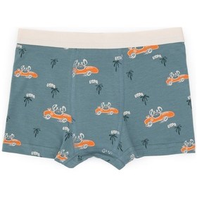 Resim U.S. Polo Assn. Erkek Çocuk 3'lü Boxer Takım 50319395-VR051 