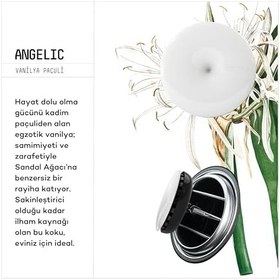 Resim VAVANA Spin Araba Klima Kokusu - Profesyonel Otomobil Kokusu | BPA & Sıvı İçermez | 90 Gün Etkili - 6'lı Set 