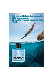 Resim AVON Musk Marine Musk Instinct Ve Musk Mineralis 75 ml Erkek Parfüm Seti 