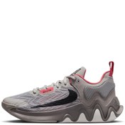 Resim Nike Giannis Immortality 2 Erkek Gri Basketbol Ayakkabısı DM0825-003 