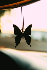 Resim Jön Metal Araba Süsü Kelebek Metal Dikiz Aynası Süsü 