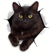 Resim 3 Boyutlu Siyah Kedi Etiketleri: Araba Pencereleri, Yatak Odası Duvarları ve Buzdolabı Yüzeyleri için Yapışkan Vinil Çıkartmalar 