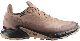 Resim Salomon ALPHACROSS 5 GTX W Yürüyüş AyakkabısıKadın 