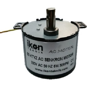 Resim Ikon Ac Senkron Motor 50 Ktyz 30 Rpm 6W Kuluçka Çevirme Motoru, Viyol Motoru 