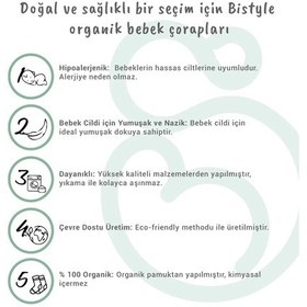Resim Melonika 5'li Penye Soket Kutulu Basic Çorap 10131 Gri Çok Renkli 