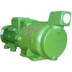 Resim Alem Bertola Em-Jet 1.5Hp Monofaze Santrifüj Pompa 