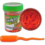 Resim Berkley Gulp Alive Fish Fry LRF Silikon Yem Fluorescent Orange-2 CM 