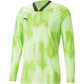 Resim Puma Kaleci ürünleri Üst Teamtarget Gk Ls Jersey 