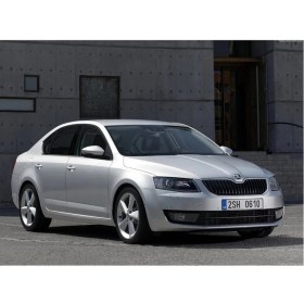 Resim OEM Skoda Octavia 2013-2022 Bagaj Pandizot Askı Pimi 1M6867574A (Paket Içeriği 2 Adettir) 