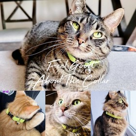 Resim Cat Collar Velvet Cat Collar with Bell 649724 - Avocado Leash + Bow Tie / S/M 