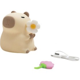 Resim Homyl Kapibara Gece Lambası Işık Süsleme Dekor Usb Lı Stil B Çok Renkli 