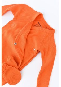 Resim Modal Organik 4 Lü Set Csym24512 001 