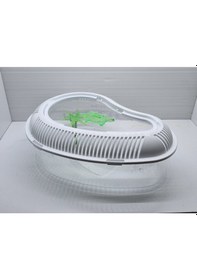 Resim Kardelen Beyaz Kaplumbağa Bahçesi 25 x 15 CM 