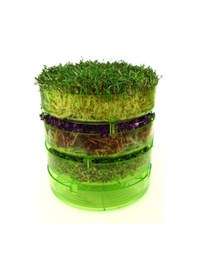 Resim GEO Filizlendirme Rafları 