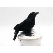 Resim Geeroyoo Halloween Dekorasyonu İçin Gerçekçi Karga Figürü, 20cm Köpük Ve Tüy Malzeme 