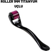 Resim Skygo Ev Tipi Mikro İğneli Cilt Bakım Aleti – 0.25 mm Titanyum Roller 