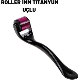Resim Skygo Ev Tipi Mikro İğneli Cilt Bakım Aleti – 0.25 mm Titanyum Roller 