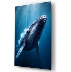 Resim Gri Balina Hayvan Temalı Dekoratif Cam Tablo, Duvar Dekoru H0015 