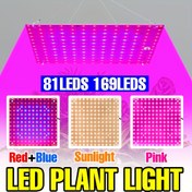 Resim LED Bitki Işığı Tam Spektrumlu Büyüme Işığı Güneş Işığı AC100-277V İç Mekan Hidroponik Panel Lambası Kırmızı Mavi UV/IR Kuantum Tahtası Seracılık Çadırı Sukulent Saksı Meyve Çiçek Kaktüs Moss Yetiştirme Aydınlatma AB Fişi ile saç tokası Asma 81/169 LED'ler 