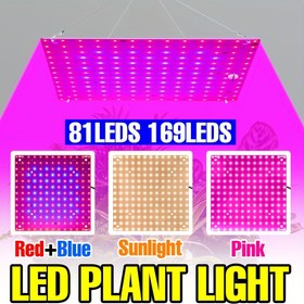 Resim LED Bitki Işığı Tam Spektrumlu Büyüme Işığı Güneş Işığı AC100-277V İç Mekan Hidroponik Panel Lambası Kırmızı Mavi UV/IR Kuantum Tahtası Seracılık Çadırı Sukulent Saksı Meyve Çiçek Kaktüs Moss Yetiştirme Aydınlatma AB Fişi ile saç tokası Asma 81/169 LED'ler 
