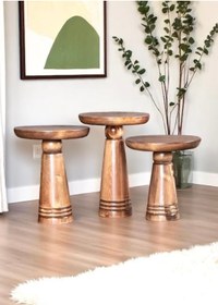 Resim ASELYA HOME Doğal Ahşap 3’lü Set Mantar Yan Sehpa Modern Fiskos Zigon Çiçeklik 