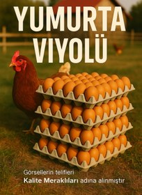 Resim Kalite Meraklıları (80 Adet)30'lu Karton Yumurta Viyolü (80 Adet 17lbs)- Víyol Toptan 
