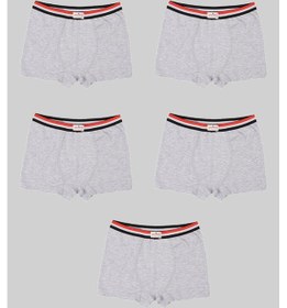 Resim Ceylanoğlu 12'li Gri Erkek Çocuk Likralı Sade Boxer-343-1 Gri 