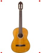 Resim markentegra Tam Boy Klasik Gitar (Doğal Mat) 