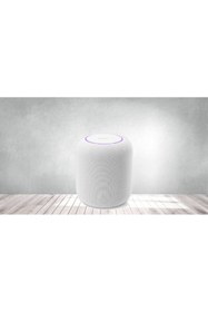 Resim Polosmart FS88 Kablosuz Hoparlör 