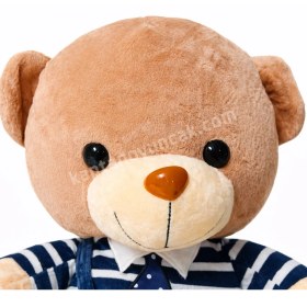 Resim Kravatlı Oturan Peluş Ayı 40 Cm 