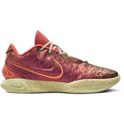 Resim Nike Lebron Xxı Erkek Basketbol Ayakkabısı Çok Renkli 