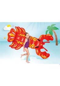 Resim Intex Istakoz Binici 213x137 Cm Çok Renkli 