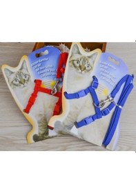 Resim Larimar Kedi Tasması - 9090214630149lmr Çok Renkli 