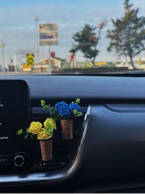 Resim Plantarrium Design Oto Aksesuar/Koku- Mini Mantar Taraftar Buket "Lacivert Sarmaşık" 
