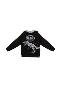 Resim Denokids Mshb&g Dino Research Erkek Çocuk Sweatshirt 