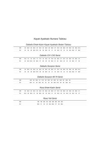 Resim Dalbello-ds Mx D Ms Kayak Ayakkabısı 001 