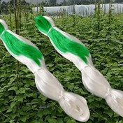 Resim 2m x 100m Dayanıklı Plastik Salatalık Tırmanma Ağı - Ağır Hizmet Mavi & Yeşil Sebze, Fasulye ve Domates Destekliği - Nefes Alabilir Bahçe Filesi ile Hava Sirkülasyonu ve Sağlıklı Büyüme, Yoğun Izgara Tasarımı, Sağlam Bitki Yapısı 