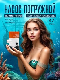 Resim Seaflo Tekne Ve Tekneler İçin Kurutma Pompası, 12 V 431776065 