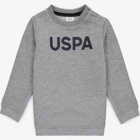 Resim U.S. Polo Assn. Erkek Bebek Gri Melanj Bisiklet Yaka Basic Sweatshirt 50316503-VR086 