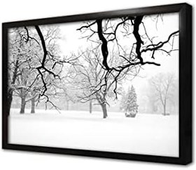 Resim Karlar Altında Kalmış Orman Çerçeveli Cam Tablo 20x30 cm CA20250 