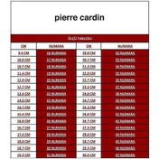 Resim Pierre Cardin PC-52200-3951 Platin - Kadın Topuklu Ayakkabı 35717 