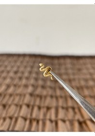 Resim Gerçek Titanium G23 Yılan Titanyum Altın 6x1.2mm Bedenilabret Piercing Altın 