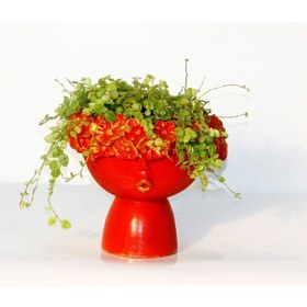 Resim DOSTLUK ÇİÇEĞİ 2 ADET - HEDİYELİK KIRMIZI SAKSIDA PİLEA GLAUCA 