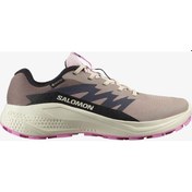 Resim Salomon Kadın Koşu/fıtness Ayakkabı Alphaglıde Gore-tex L47857900 Gri 
