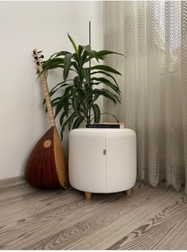 Resim Papuli Ahşap Ayaklı Suni Deri Yuvarlak Puf&bench Koltuk/tabure 